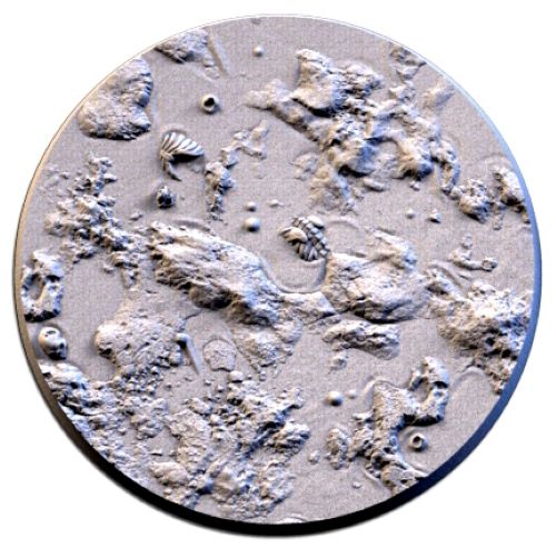 Swamp Bases & Toppers - TXARLI Factory