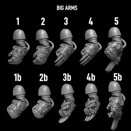 Eternal Pilgrims - Big Armour Big Arms — numbered design options